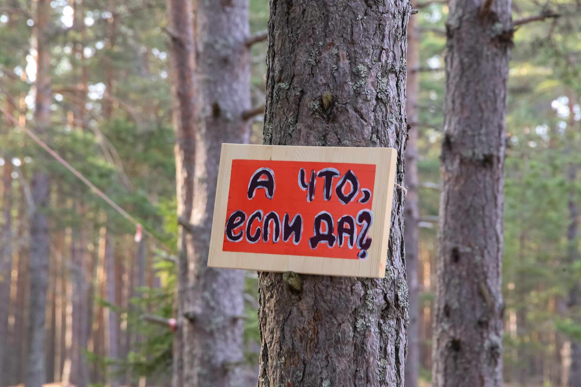 А что, если да? — табличка в лесу