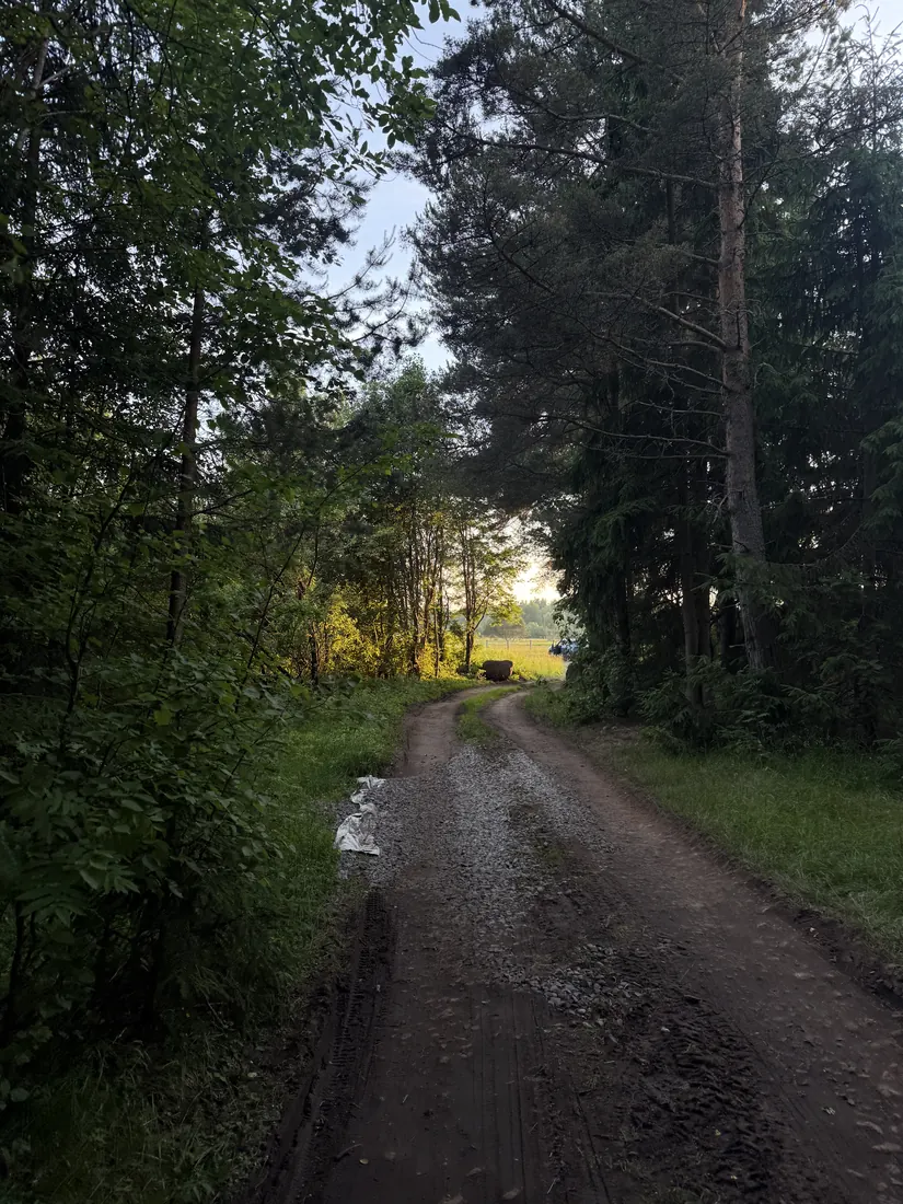 Фото со смены 15